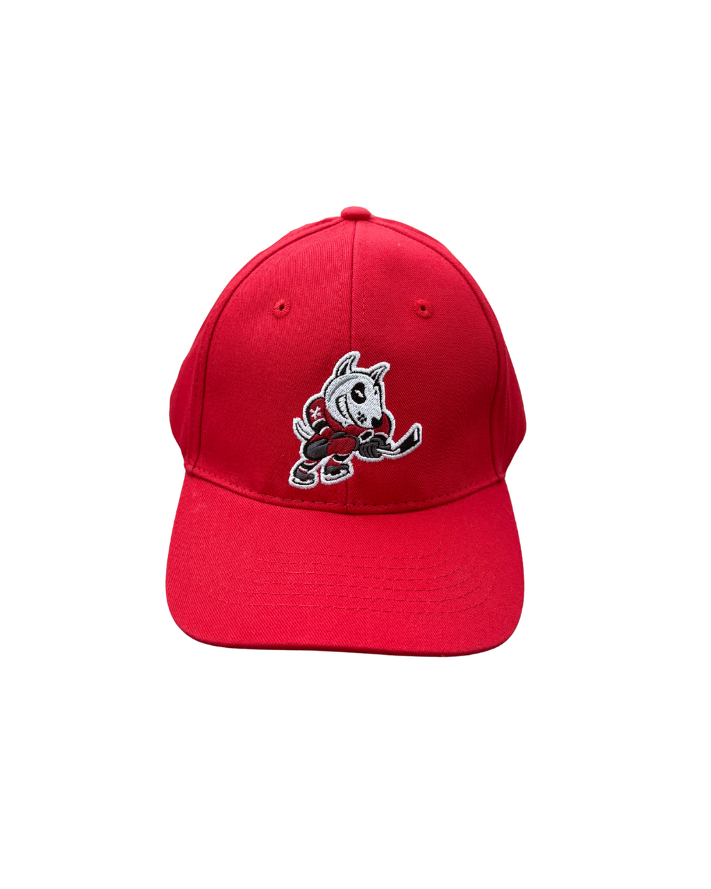 Youth Baseball Cap