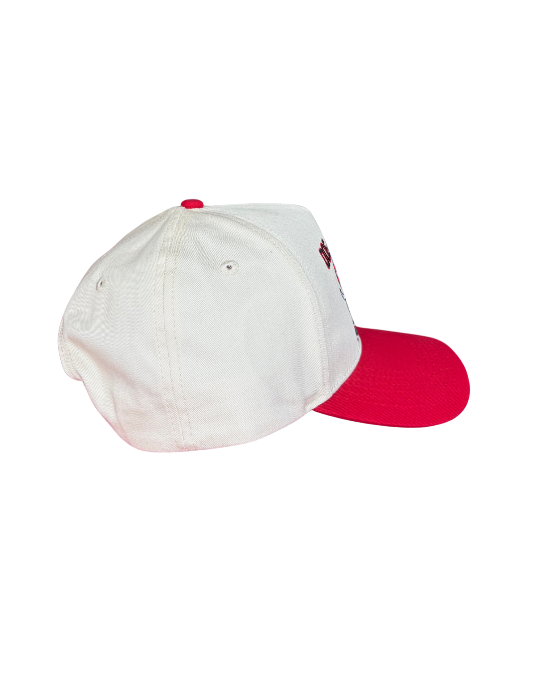Dog Country Snap Back Hat