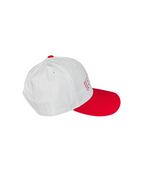 IceDogs Snap Back Hat