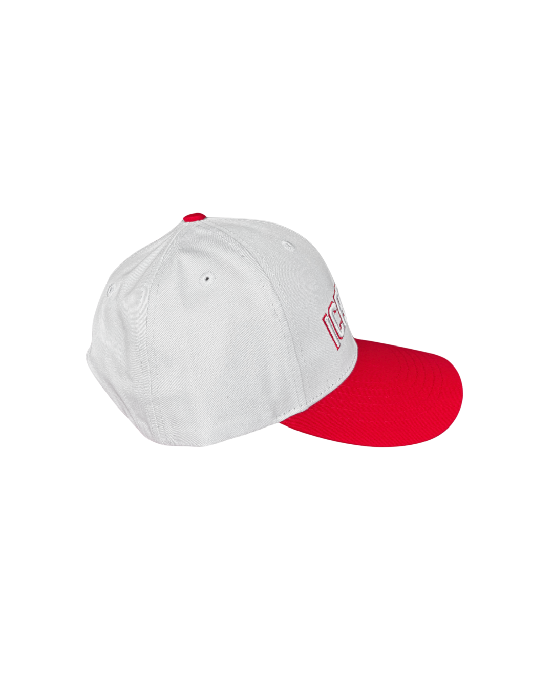 IceDogs Snap Back Hat