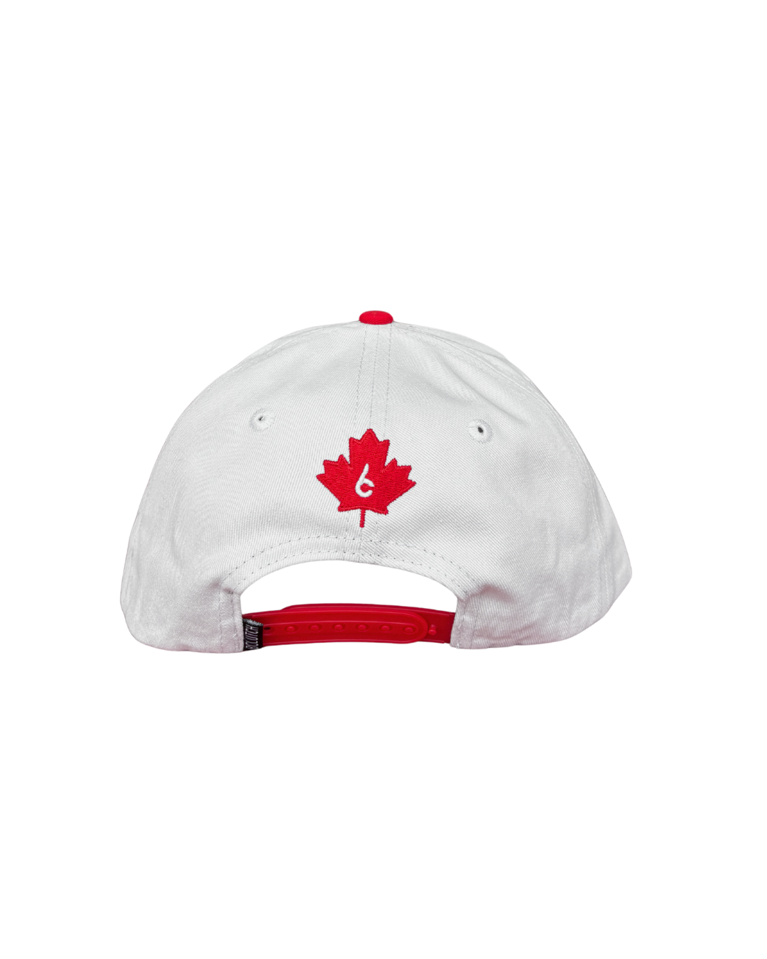 IceDogs Snap Back Hat