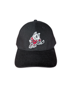 Youth Baseball Cap