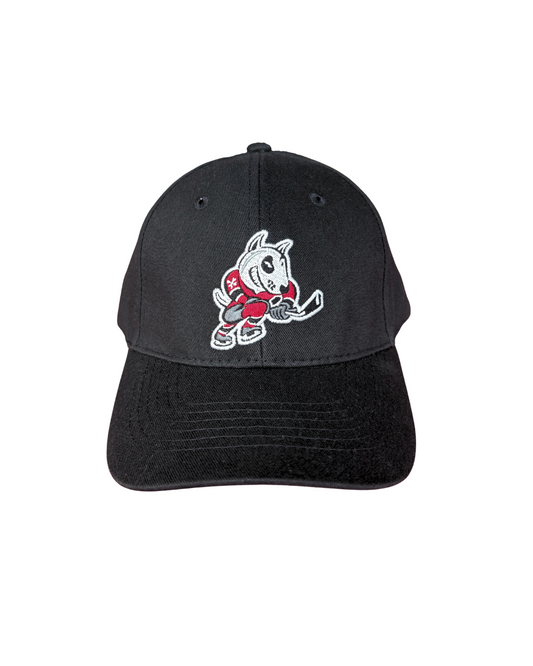 Youth Baseball Cap