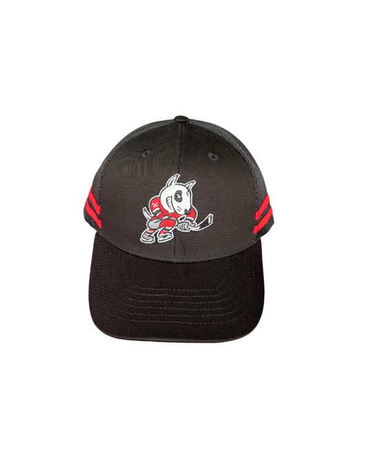 Mesh Logo Snap Back Hat