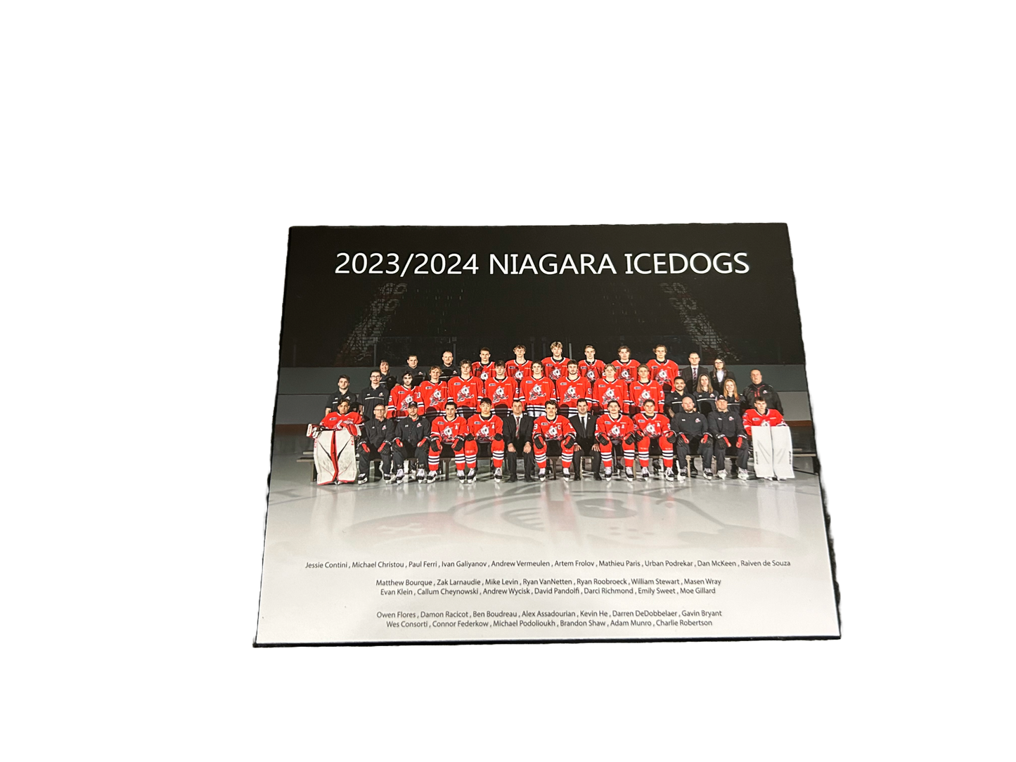 Team Photo Plaque