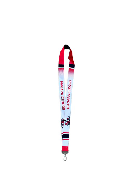 Lanyard