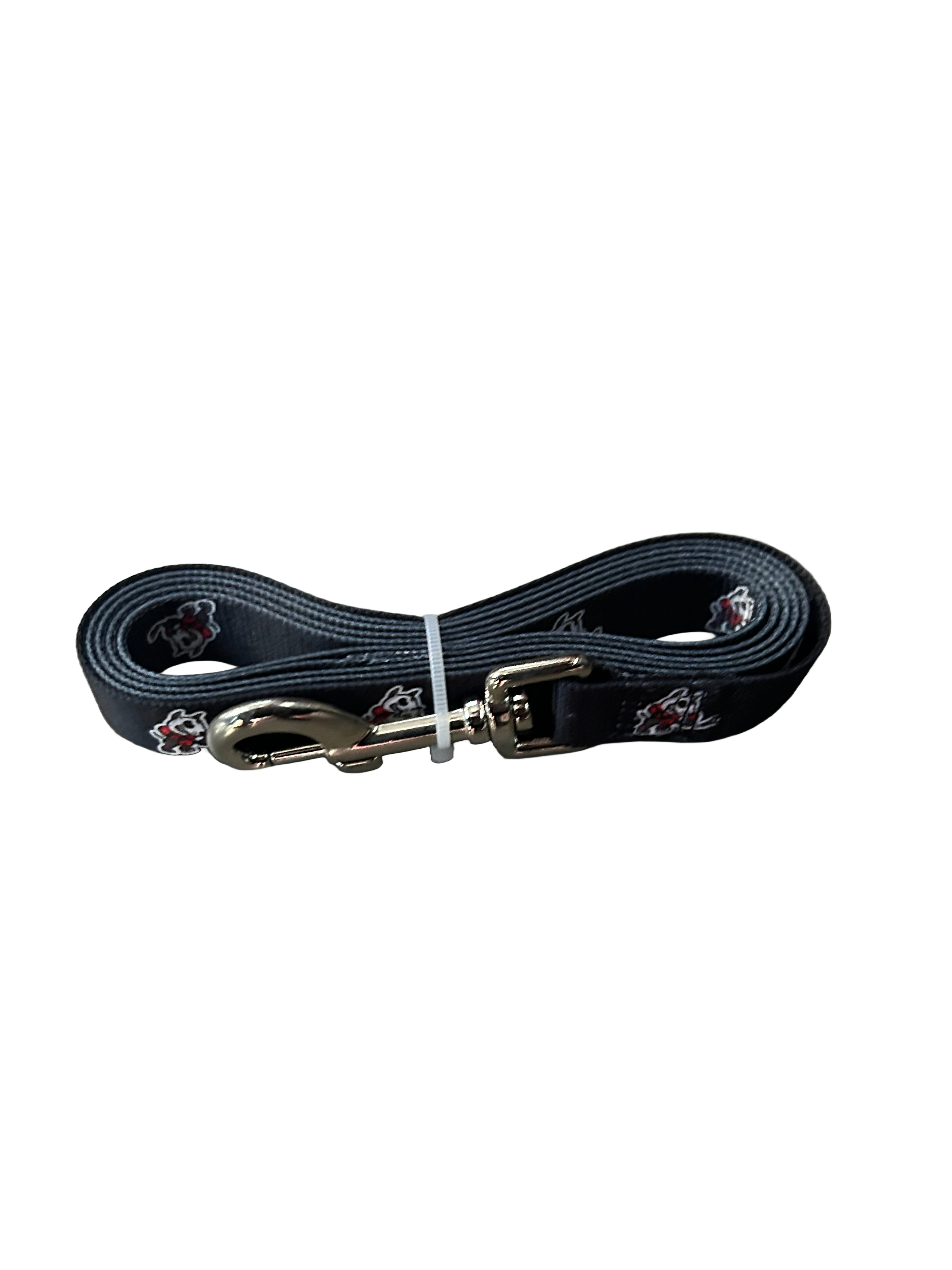 Pet Leash