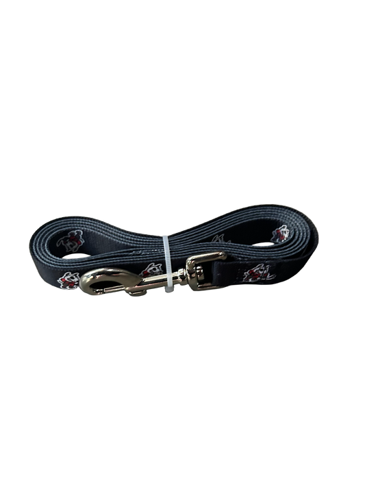 Pet Leash