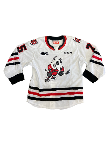 Game Worn/Issued Jersey
