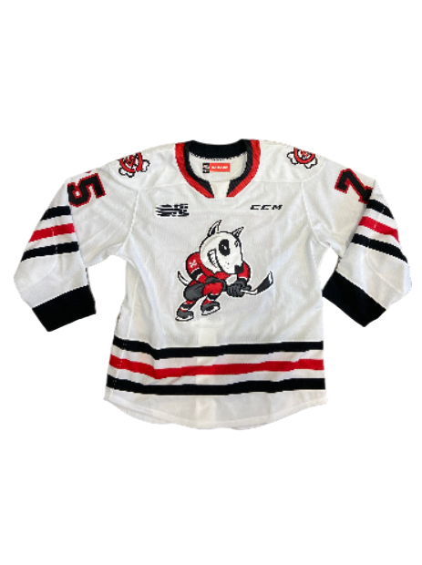 Game Worn/Issued Jersey