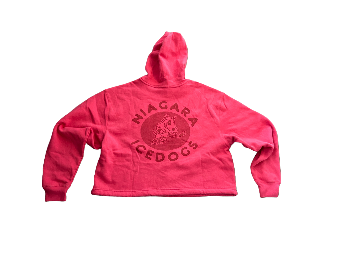 '47 Brand Women's IceDogs Hoodie