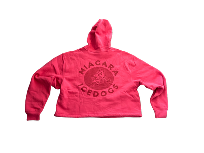 '47 Brand Women's IceDogs Hoodie