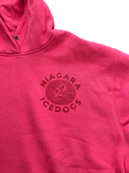 '47 Brand Women's IceDogs Hoodie