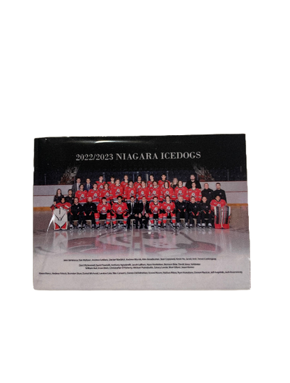 Player Cards