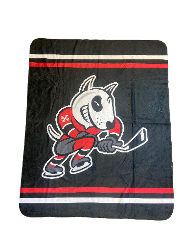 Black Sherpa Blanket