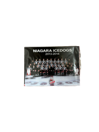 Player Cards