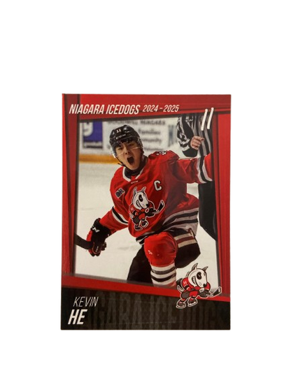 2024-2025 Player Cards