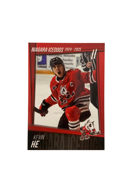 2024-2025 Player Cards