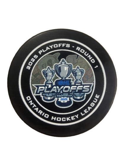 2024-2025 Playoff Pucks