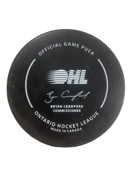 2024-2025 Playoff Pucks