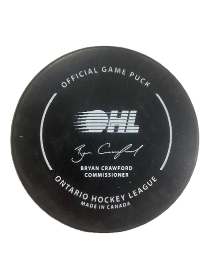 2024-2025 Playoff Pucks