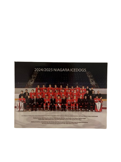 2024-2025 Player Cards