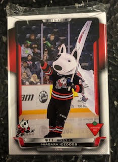 Player Cards