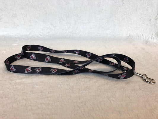 Pet Leash