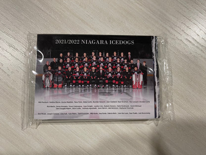 Player Cards