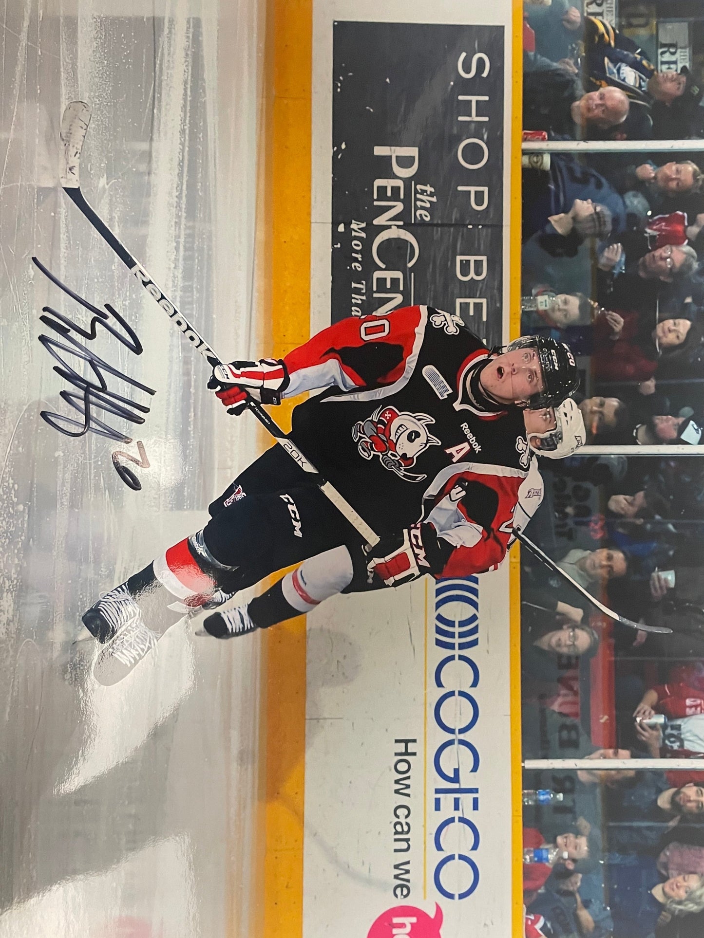 Signed Photos