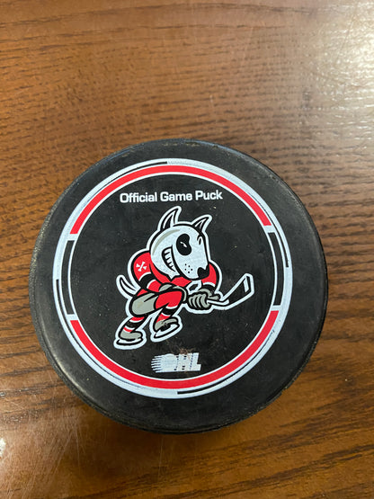 Collectors Pucks